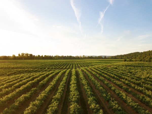 Commercial farming operation