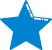 Premium Icon
